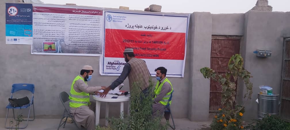 هلمند کې ۳۰ زره بزګرانو ته د غنمو اصلاح شویو تخمونو او کېمیاوي سرو وېش لړۍ پیل شو