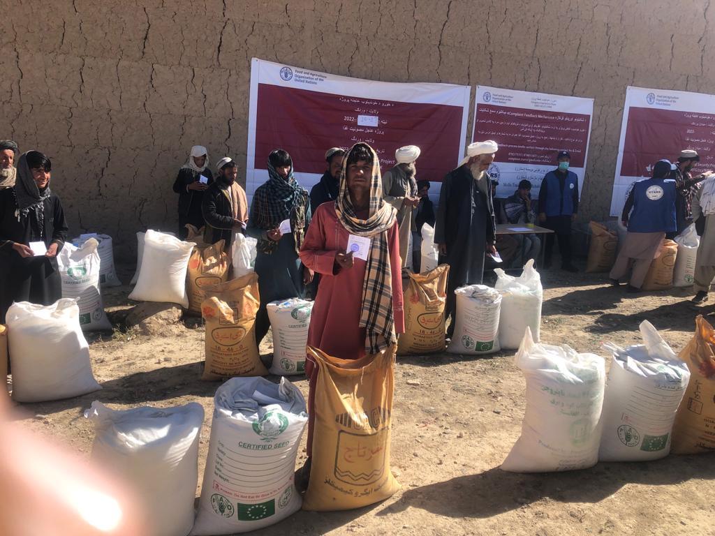 د میدان وردګو ولایت سید آباد کې یوشمېر بزګرانو سره د اصلاح شویو تخمونو او کیمیاوي سرو مرستې  وشوې