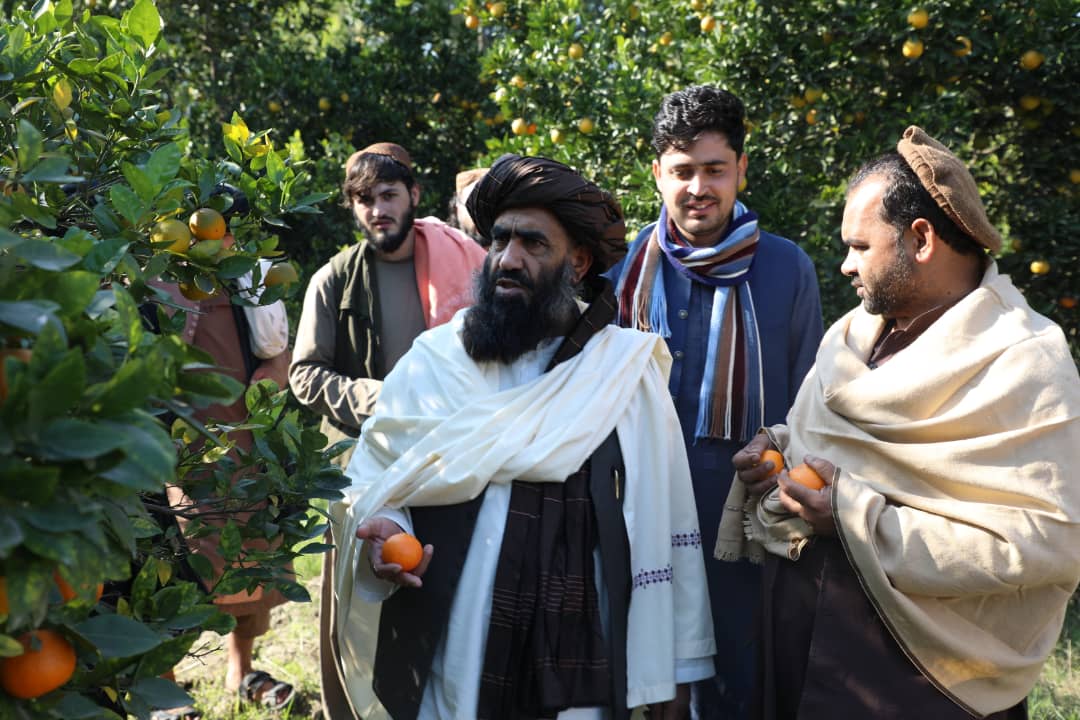 دکرنې وزارت د اوبولګولو او طبیعي سرچینو مرستیال د کانال ریاست د کارکوونکو کړنې وستایل