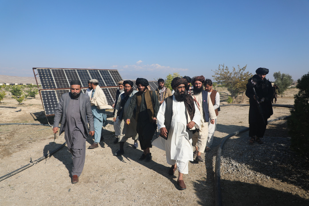 دیدار از باغ تحقیقاتی عبدالوکیل خان