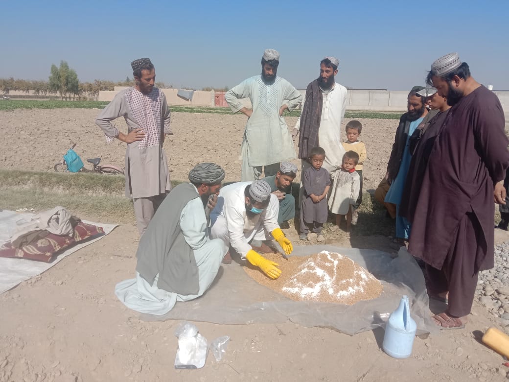 هلمند کې یوشمېر بزګرو ته د نباتي ناروغیو مخنیوی په اړه عامه پوهاوی ورکول شو 