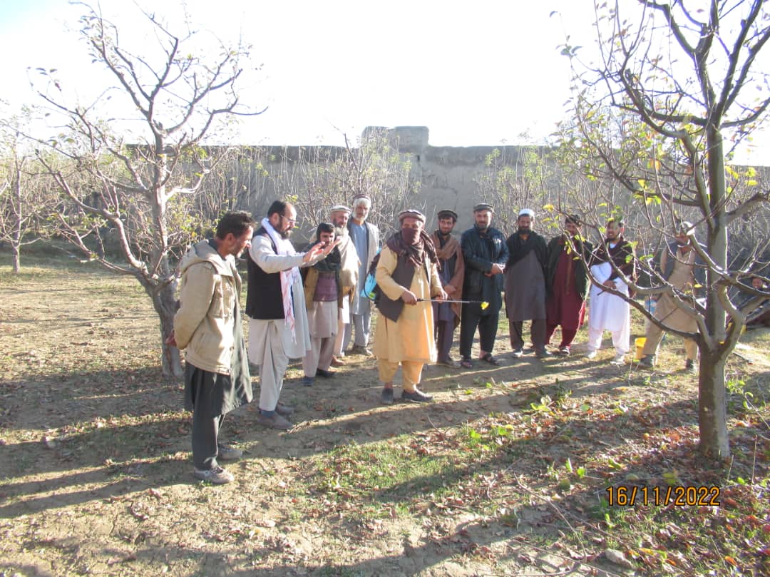 د لوګر محمدآغې کې یوشمېر بزګران وروزل شول