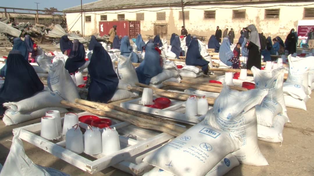 برای ۵۸۸ خانم در جوزجان وسایل مرغداری توزیع گردید