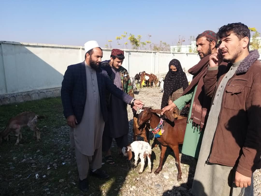 کندز کې په یوشمېر بې وزله کورنیو وزې ووېشل شوې