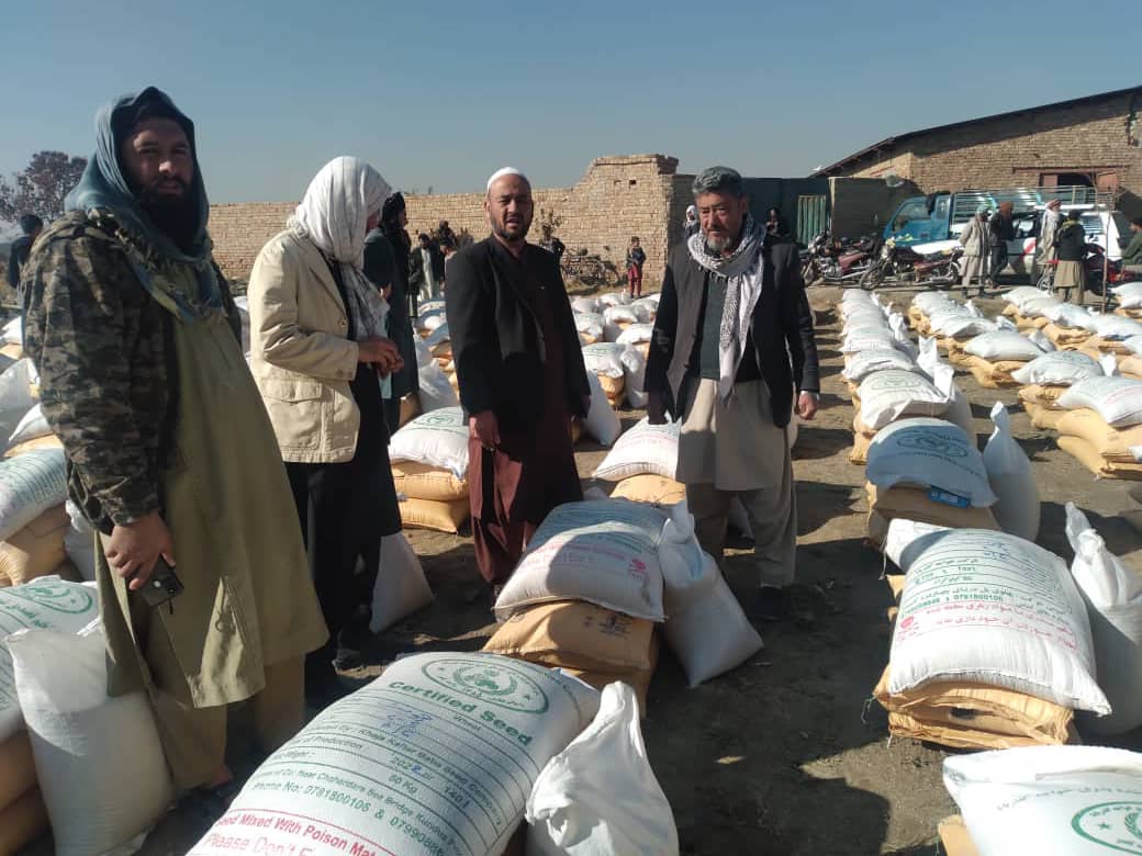 توزیع تخم بذری گندم و کود کیمیاوی برای ۲۰۹ دهقان در ولسوالی ده سبز ولایت کابل
