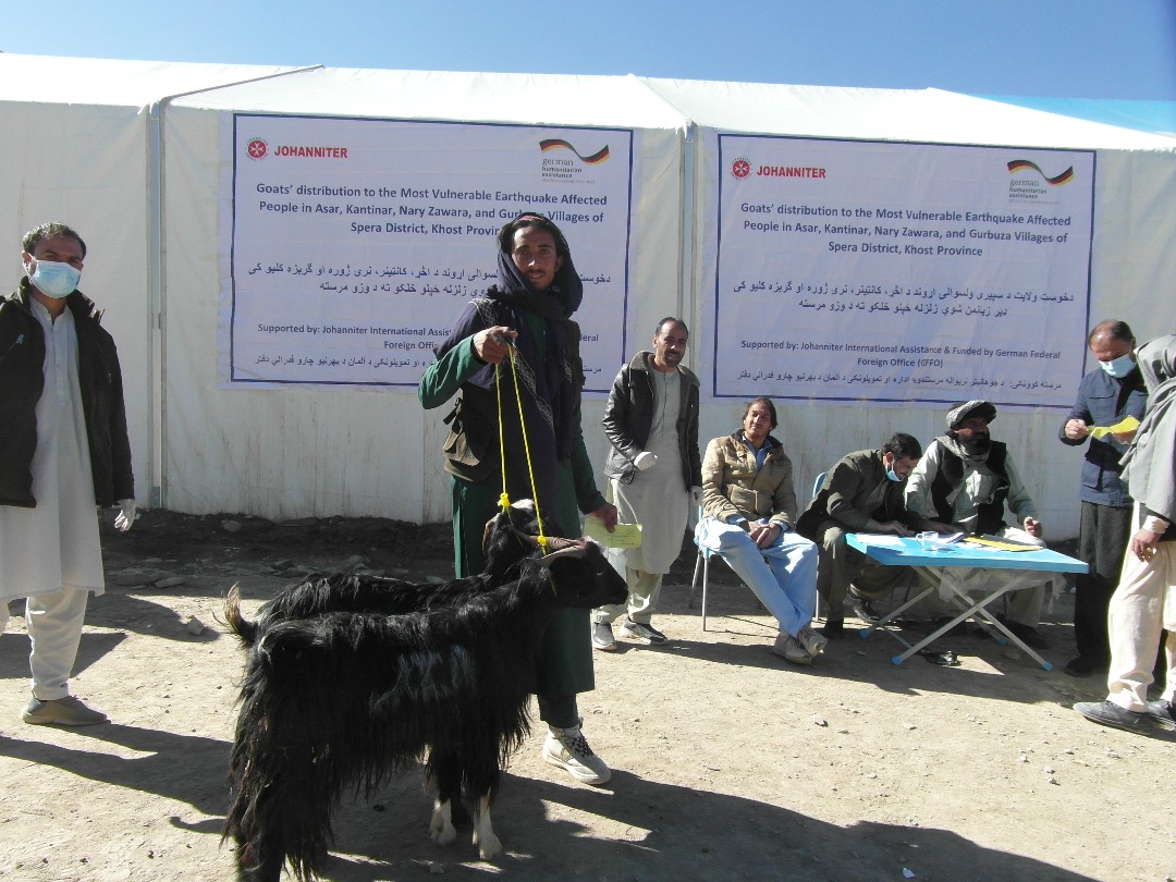 خوست کې له یوشمېر زلزله ځپلو سره د څارويو او د څارویو د خوراکي توکو مرسته وشوه