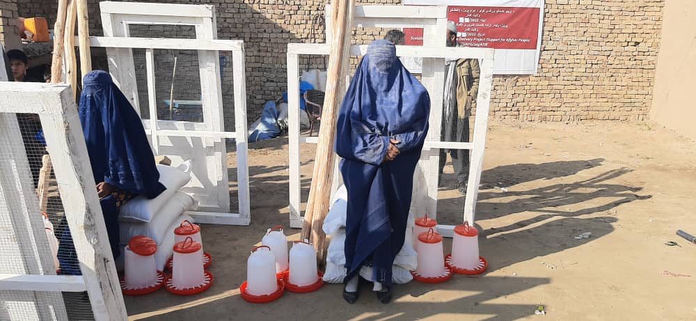 کندز کې پر ۵۸۸ کورنيو د چرګانو پالنې اړین توکي ووېشل شوې 