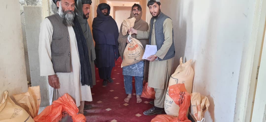 ارزګان کې د اصلاح شویو غنمو ننداریزې کروندې جوړېږي