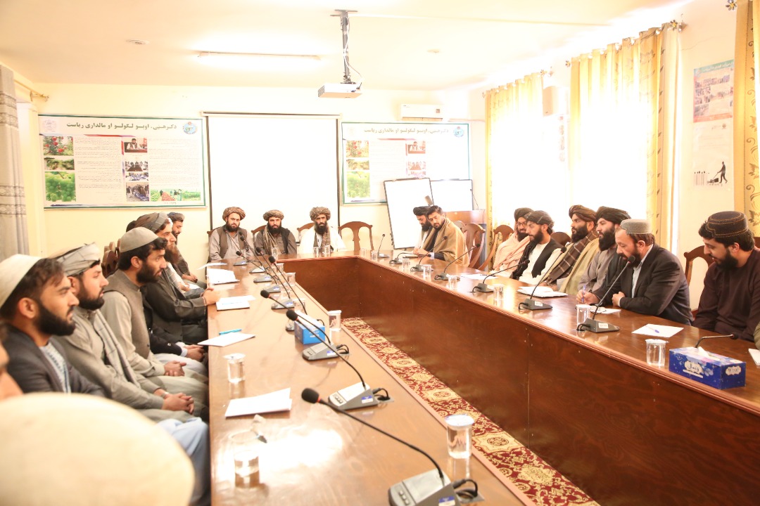 د اوبولګولو او طبیعي سرچینو مرستیال د کندهار د کرنې کارکوونکو سره وکتل