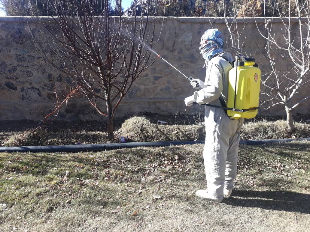 آغاز کمپاین یوریا اسپری در ولایت غور 