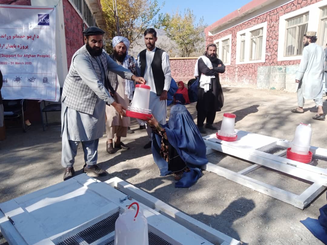 توزیع وسایل نگهداری مرغ‌های خانگی برای ۵۸۸ فامیل در ولایت لغمان