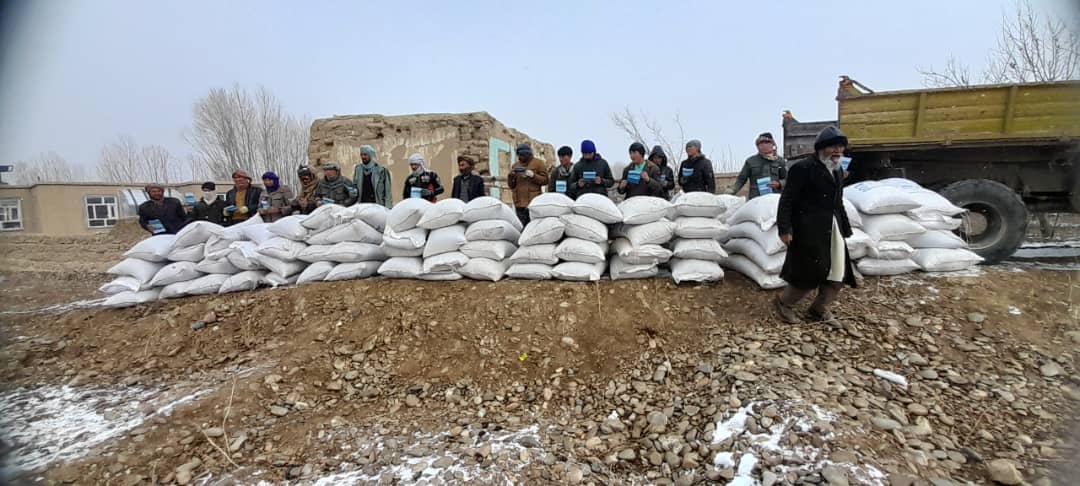 توزیع علوفه متراکم حیوانی برای ۶۶۶ مالدار در غور 