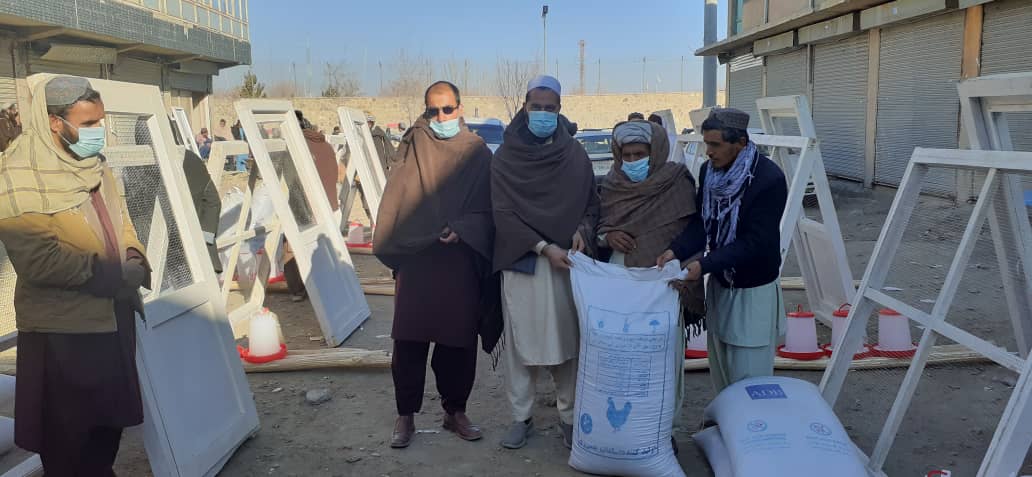 پکتیکا کې پر ۵۸۸ کورنيو د چرګانو پالنې اړین توکي ووېشل شوې 