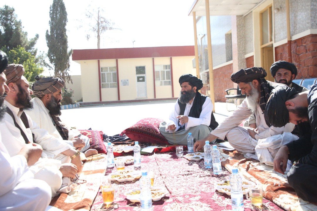 د اوبولګولو او طبیعي سرچینو مرستیال د هلمند والي سره وکتل