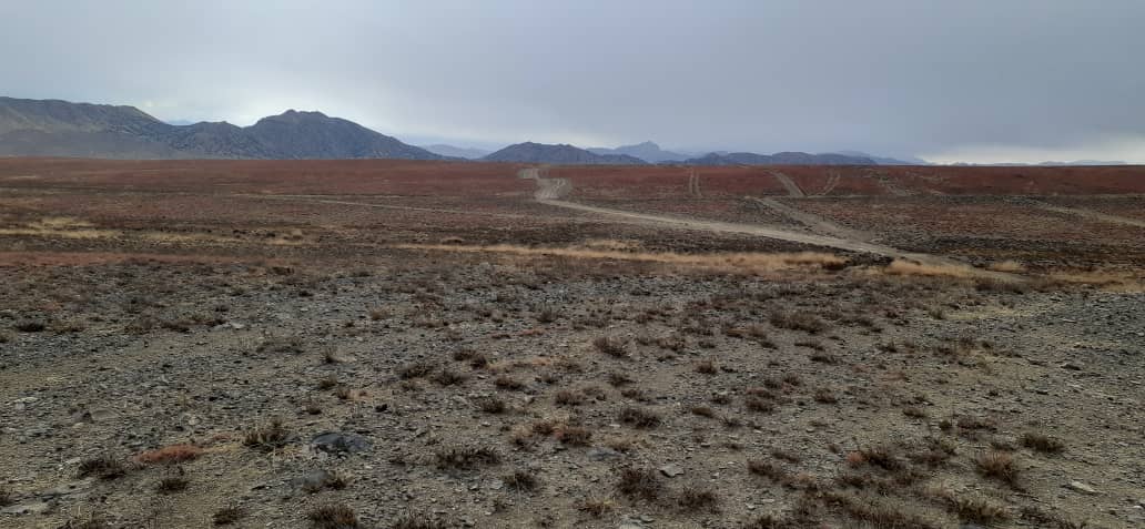 پکتیکا کې د امارتي ځمکو د غصب مخنیوی او غصب شویو ځمکو د بېرته راګرڅولو کمېټې کړنې