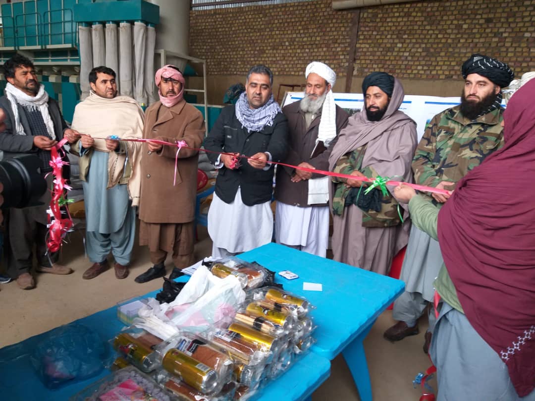 توزیع گندم بذری و کود کیمیاوی برای شماری از دهقانان در بادغیس 