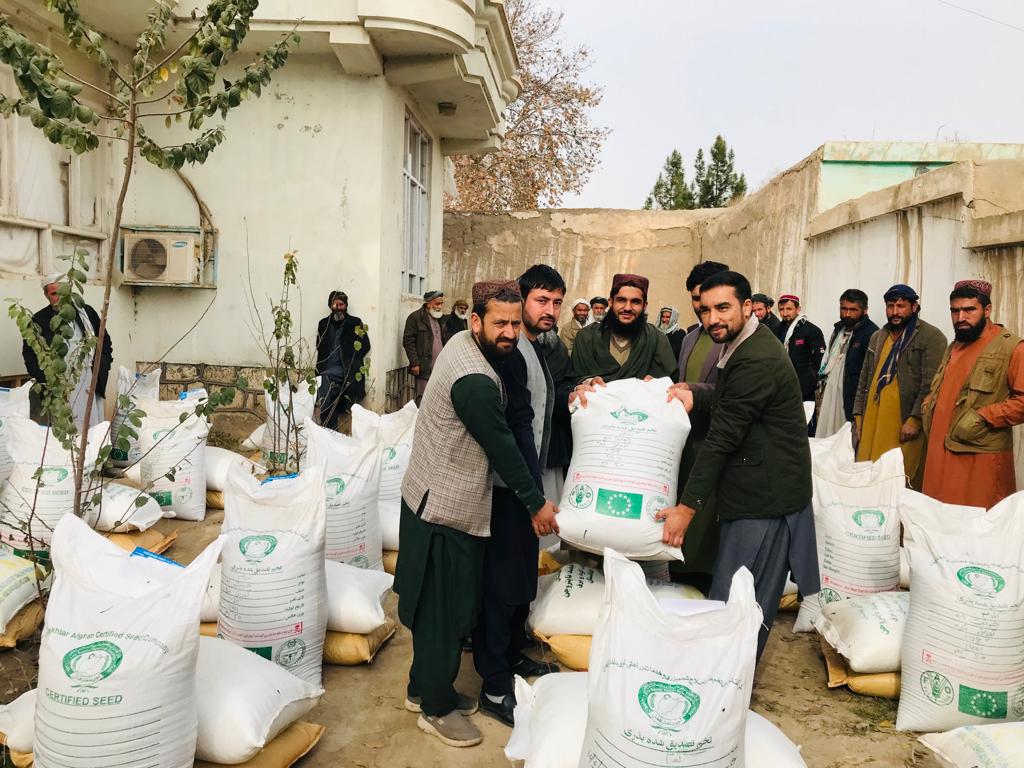 کندز کې پر یوشمېر بزګرانو د غنمو اصلاح شوي تخم او کیمیاوي سرې ووېشل شوې