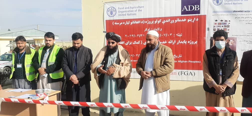 برای دوهزار ۹۴۱ مالدار در ولایت لوگر مواد خوراکه حیوانی توزیع شد