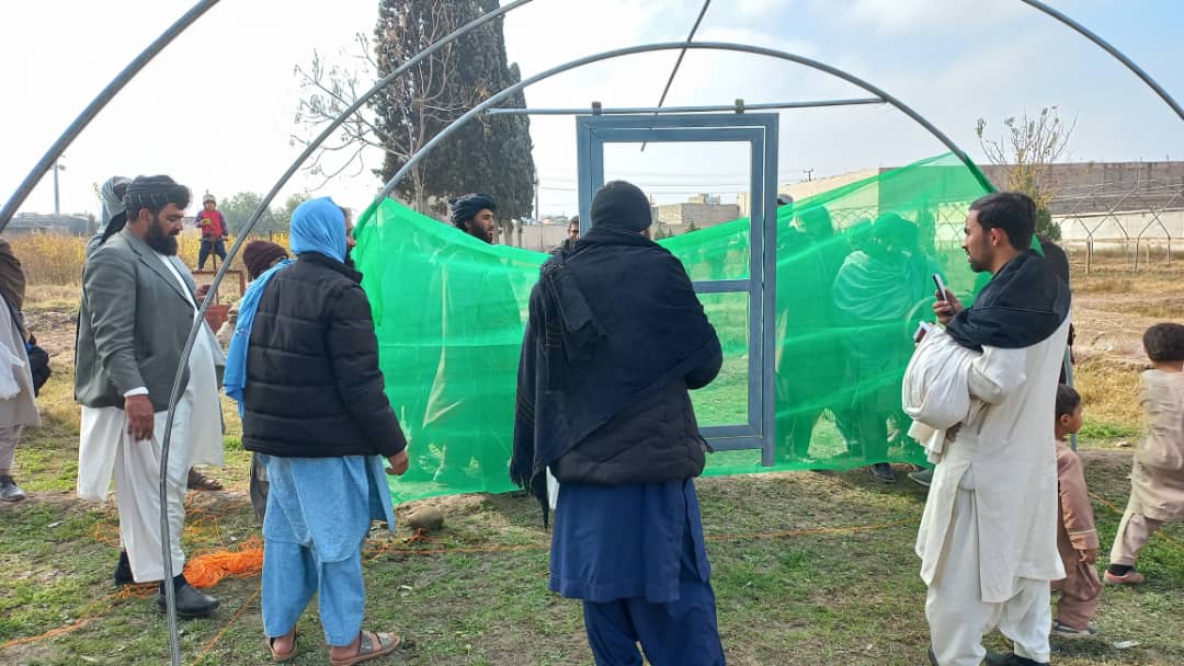 هلمند کې پر یوشمېر بزګرانو د ٨٢ بابه شنوخونو د اړتیا وړ کرنیز توکي او تخمونه ووېشل شول