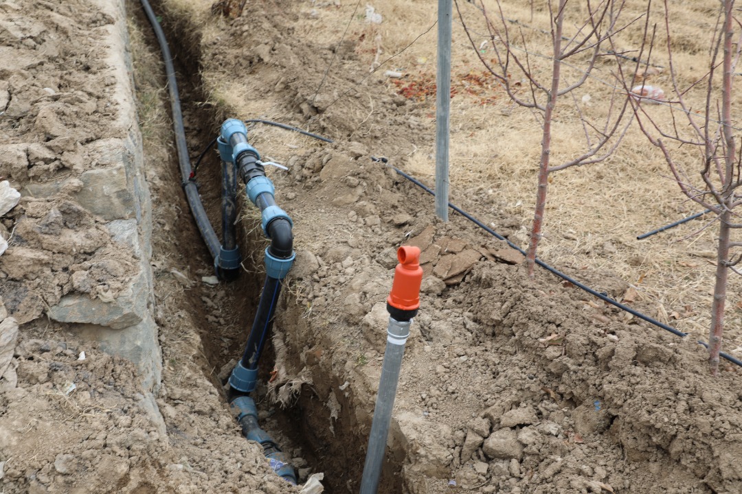 لوګر کې د څاڅکي اوبوخور په سیسټم سمبال ۳۵ جریبه بڼونه جوړ شول