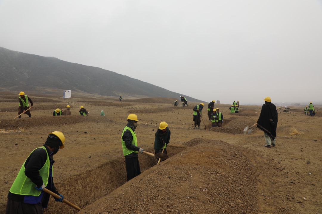 لوګر کې د سطحي اوبو مدیریت «د عامه ځنګلونو او بڼونو جوړولو» پروژه پرانیستل شوه