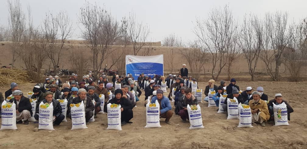 برای سه‌هزارو ۸۰۰ دهقان در ولایت بلخ کود کیمیاوی توزیع شد