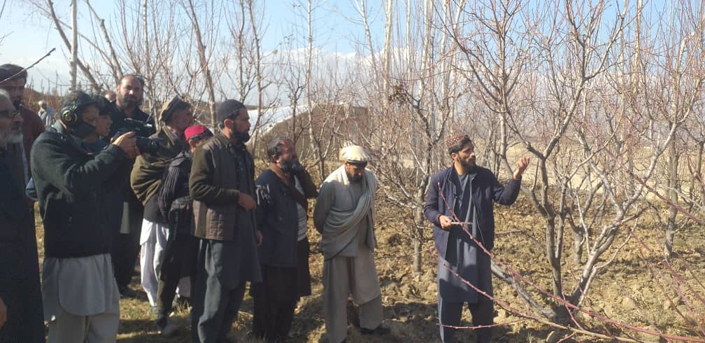 آموزش ساخت کمپوست و محلول یوریا اسپری برای باغداران ولسوالی شکر دره