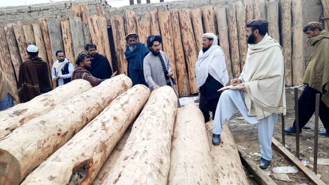 پکتیا: د ځنګلونو د قطع مخنيوي کميټې د مرکز ګرديز اړوند لرګيو هډې له لرګي پلورونکو سره ناسته ترسره کړه