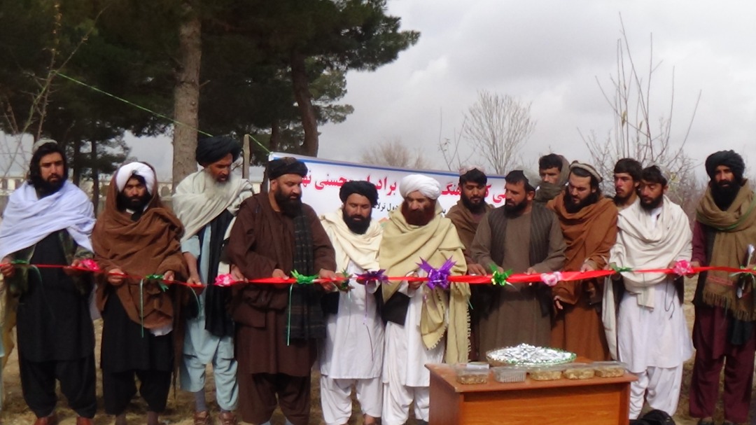 د کوکنارو غوره بدیل؛ زابل کې د انجې شرکت پرانیستل شو