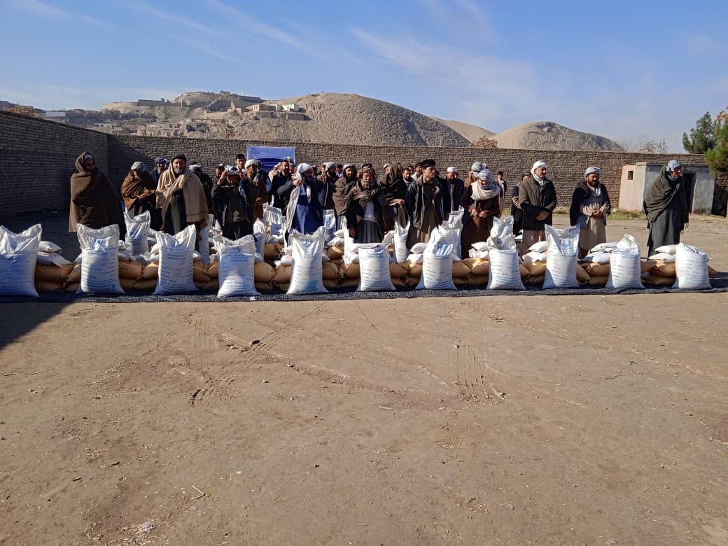 توزیع گندم بذری و کودکیمیاوی برای ۶۴ تن از دهقانان ولایت بلخ