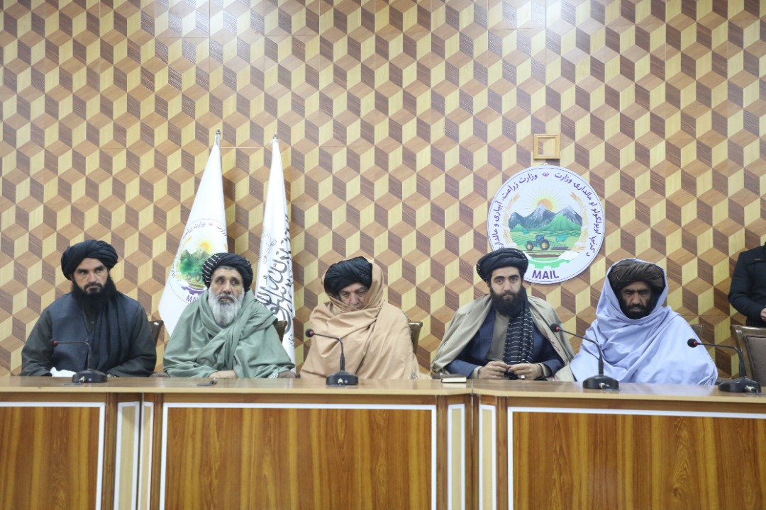 راه‌اندازی برنامه آموزشی برای کارمندان جدید‌التقرر وزارت زراعت