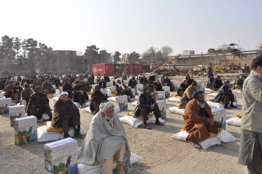 به ۳۳۳ دهقان در جوزجان تخم‌ اصلاح شده بذری گندم و کود کیمیاوی توزیع گردید