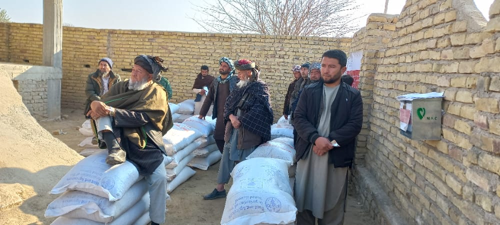 توزیع مواد خوراکه حیوانی برای نزدیک به دو هزار مالدار در فاریاب