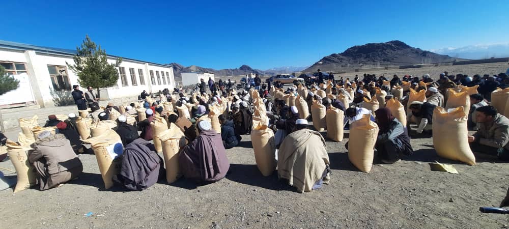 پکتيا کې پر۶۰۰  بڼوالو کيمياوي سرې ووېشل شوې