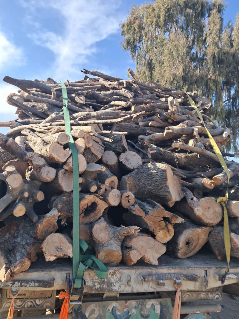 خوست کې د ځنګلونو د خوندیتوب په موخه هلې ځلې