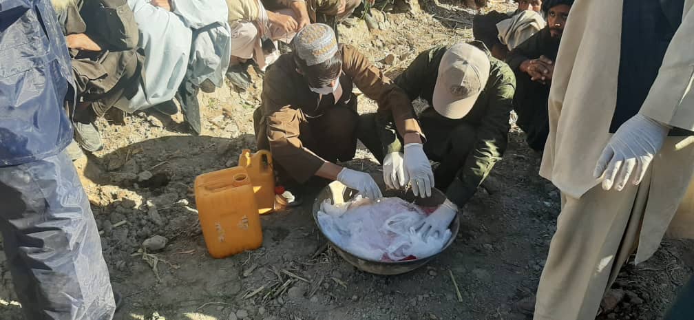 ارزګان کې یوشمېر بڼوال وروزل شول