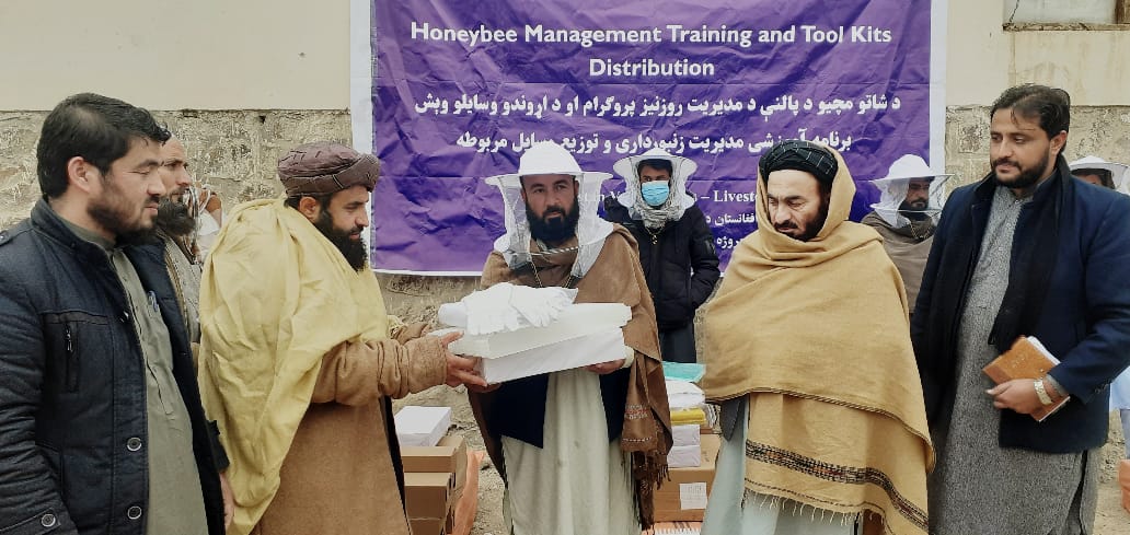 لوګر کې د شاتو مچیو یوشمېر روزونکو سره مرستې وشوې