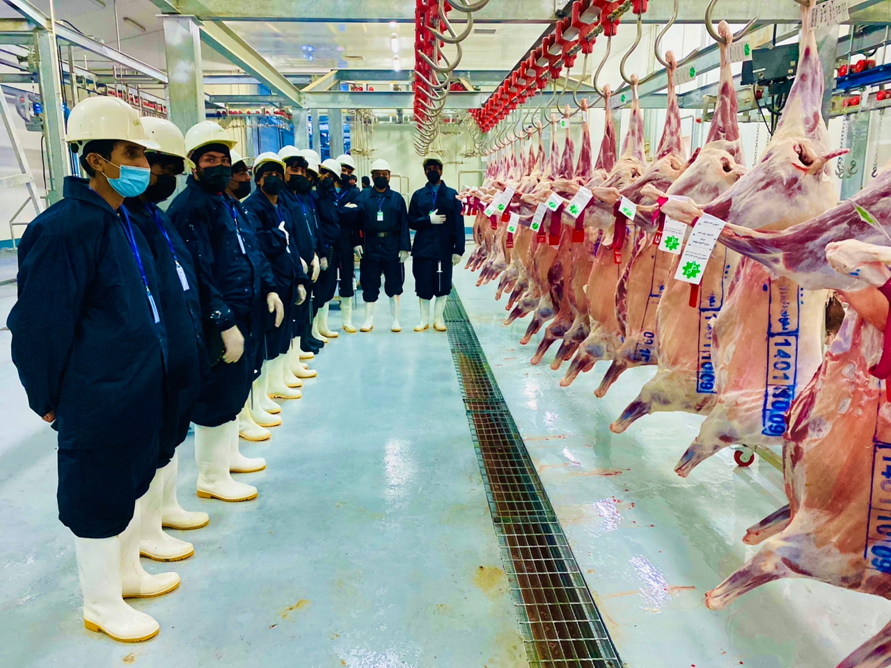 د هرات مسلخ څخه د صحي او باکیفیته غوښې عرضه پیل شو