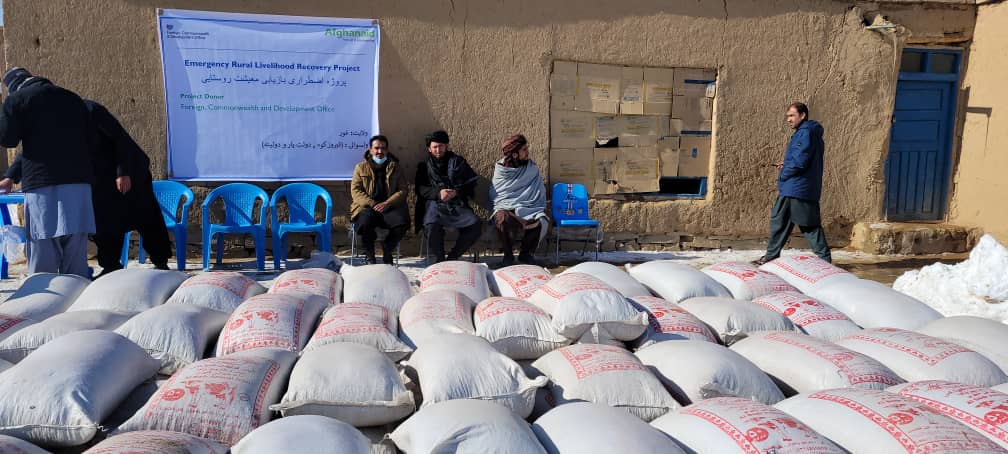 توزیع بز شیری و مواد خوراکه آن برای صد تن در غور