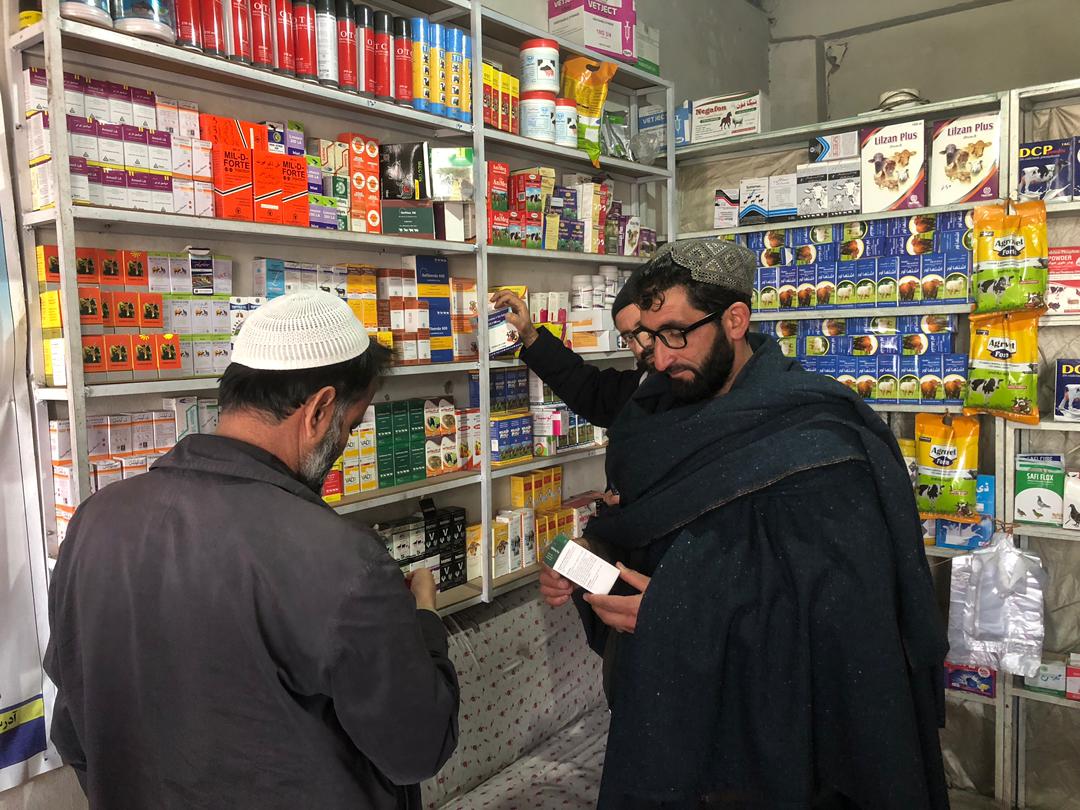 از مراکز صحت حیوانی ولسوالی دهسبز ولایت کابل نظارت صورت گرفت