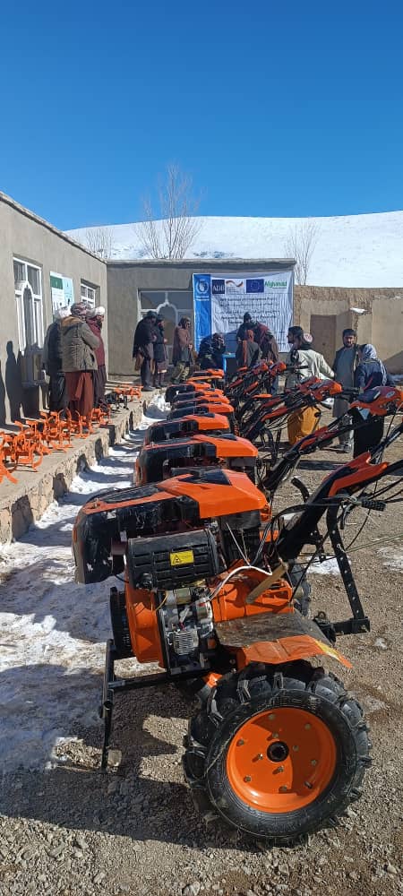 ریاست زراعت غور برای ۵۰۰ دهقان در ولسوالی دولینه تخماصلاحشده توزیع میکند