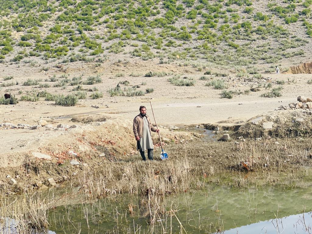 خوست کې د ځنګلونو د خوندیتوب په پار هلې ځلې