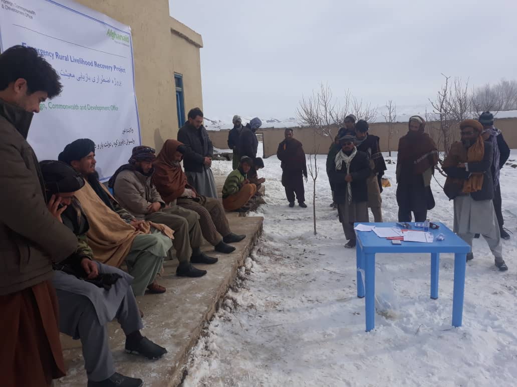 توزیع بُز شیری برای صد نفر مالدار در ولسوالی دولتیار ولایت غور