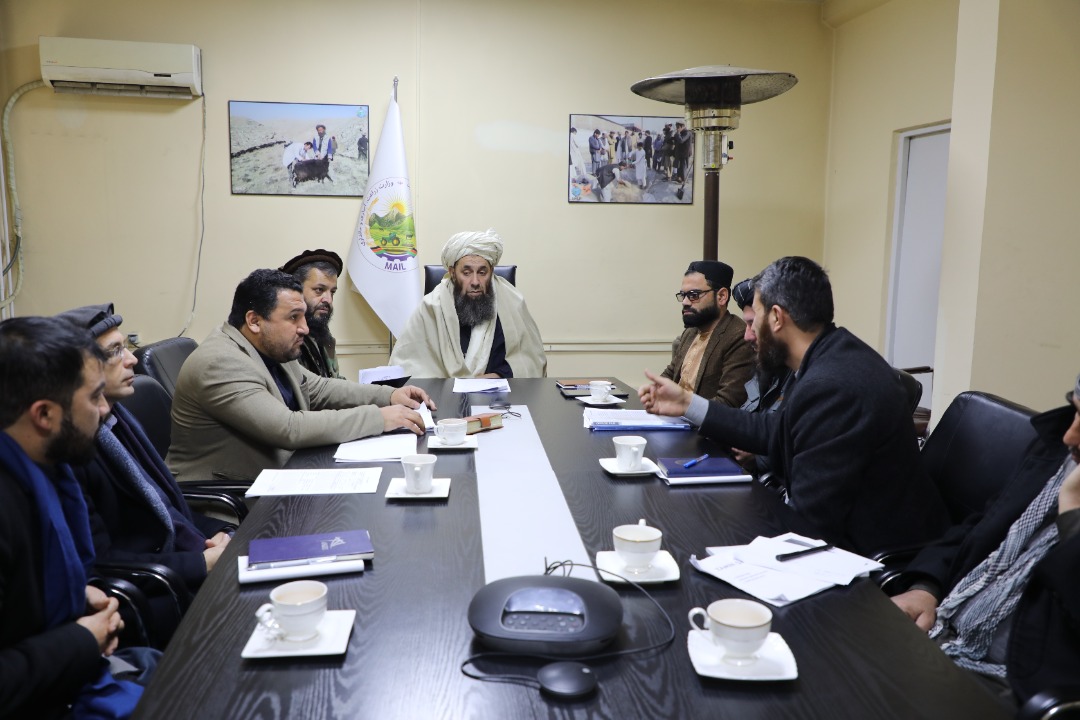 د هلمند ولایت د زمینداور کانال پر پروژې بیا کتنه