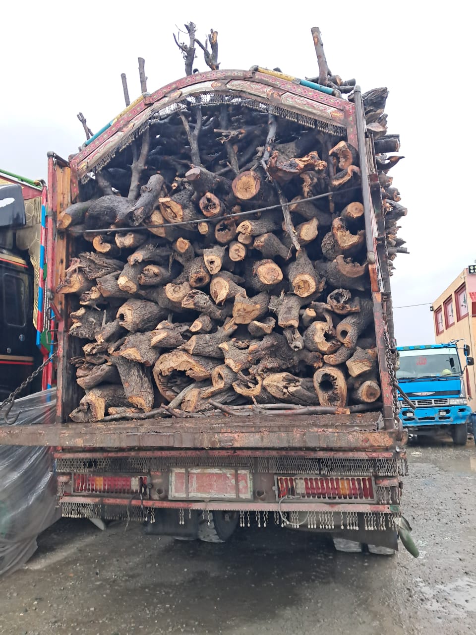 خوست کې د ځنګلونو د خوندیتوب او لرګیو قاچاق د مخنیوی په موخه هلې ځلې