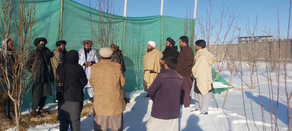 تدویرنشست کمیته تخنیکی جلوگیری از غصب املاک امارتی در ولایت غور