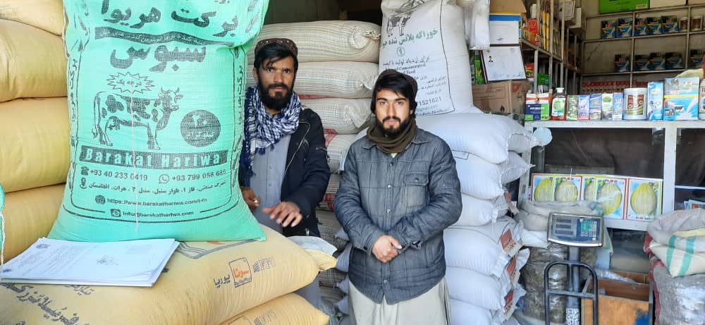 از دوکانهای ادویه فروشی و کودکیمیاوی ولسوالی شکردره نظارت صورت گرفت