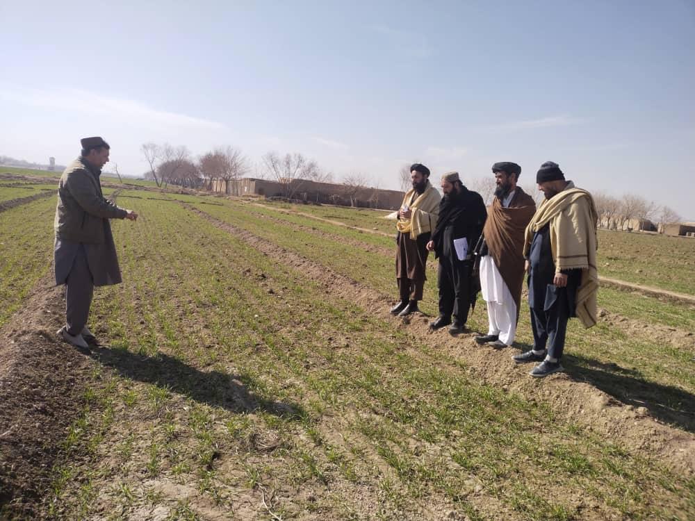 هلمند کې د ډاکار (DACAAR) مؤسسې د فعالیتونو ارزونه