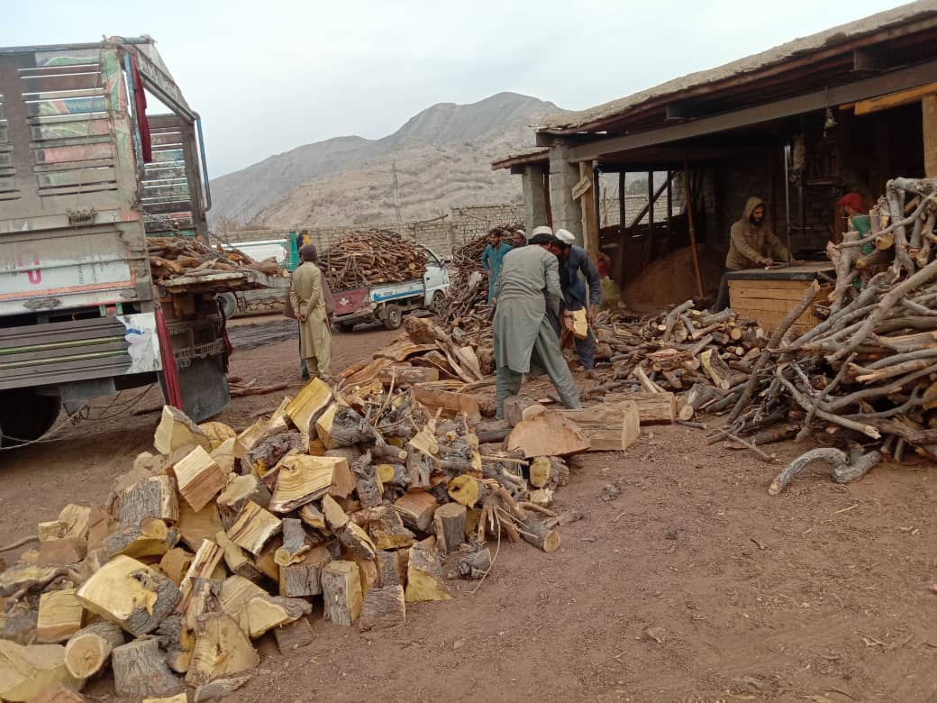 ننګرهار کې د ځنګلونو د خوندیتوب او لرګیو قاچاق د مخنیوی په موخه هلې ځلې