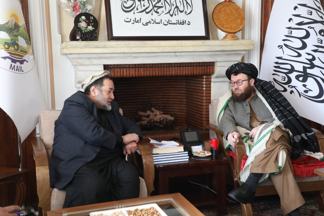 د کرنې وزیر ولسي کتنې